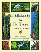 Fiddleheads to Fir Trees