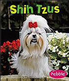 Shih Tzus