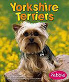 Yorkshire Terriers
